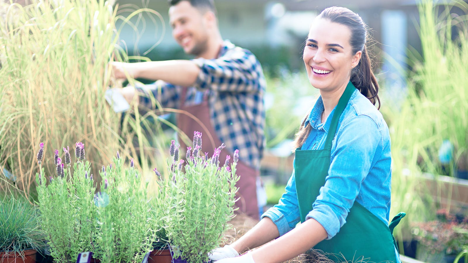 Indigenous plants can brighten up your landscaping wherever you're located.